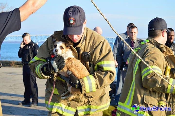 Rescue aftermath pics show compassionate firefighter holding dog