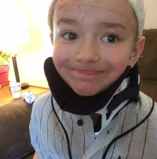Boy mauled by dogs will meet doctors who saved his life.