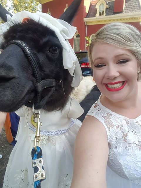 No, Alpacas did not crash this wedding, they were invited! Wait. What? :)