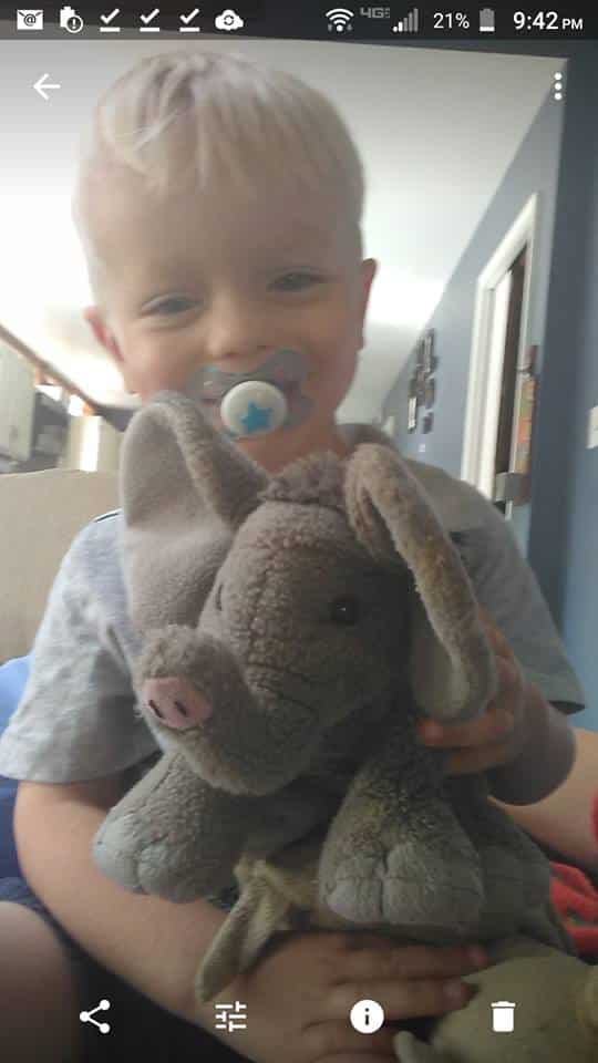 Owner of that adorable elephant lost in Home Depot – has been found!!!!  AMAZING!