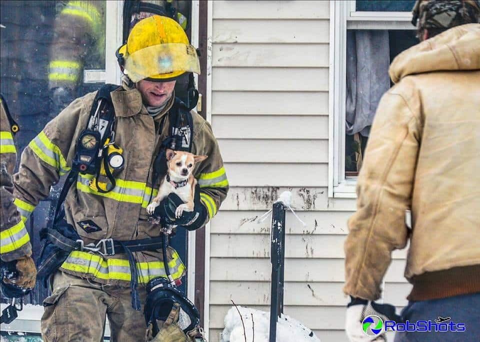 Niagara Falls Firefighter saves pup